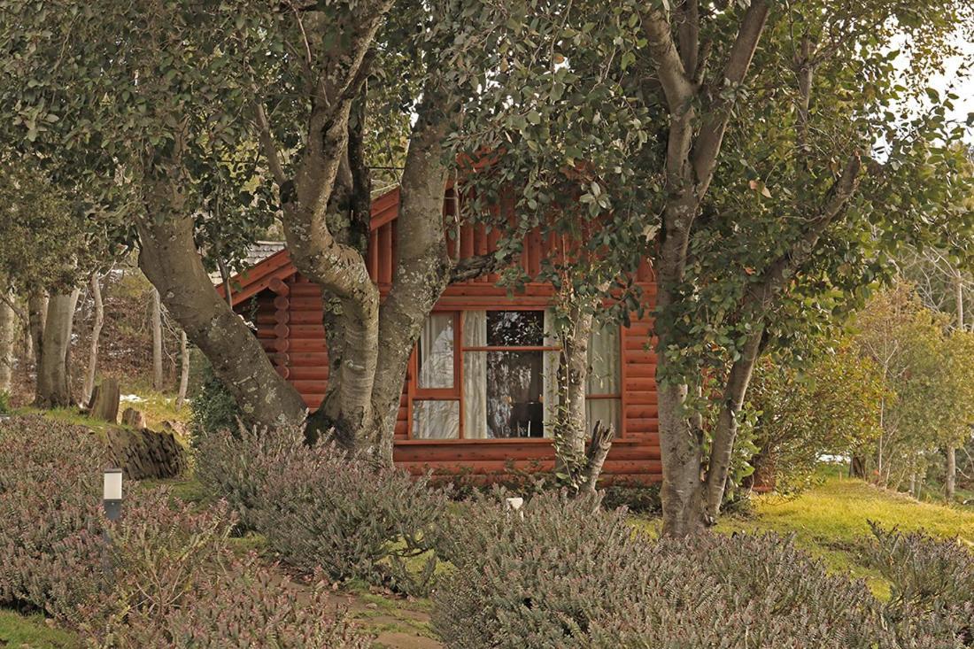 Monasterio Hotel Boutique San Carlos de Bariloche Luaran gambar